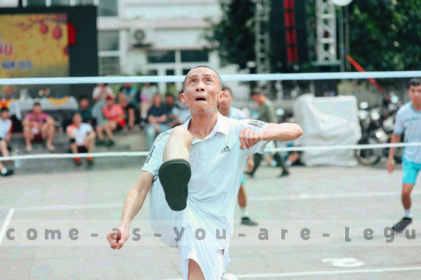 行业洞察案例图